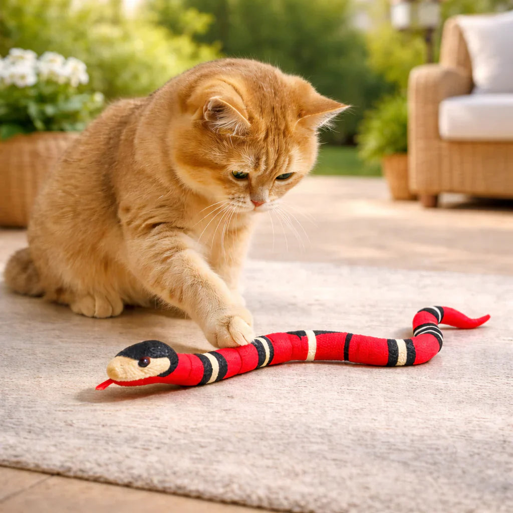 Jouets pour chat : la FAQ complète pour bien choisir et amuser votre félin