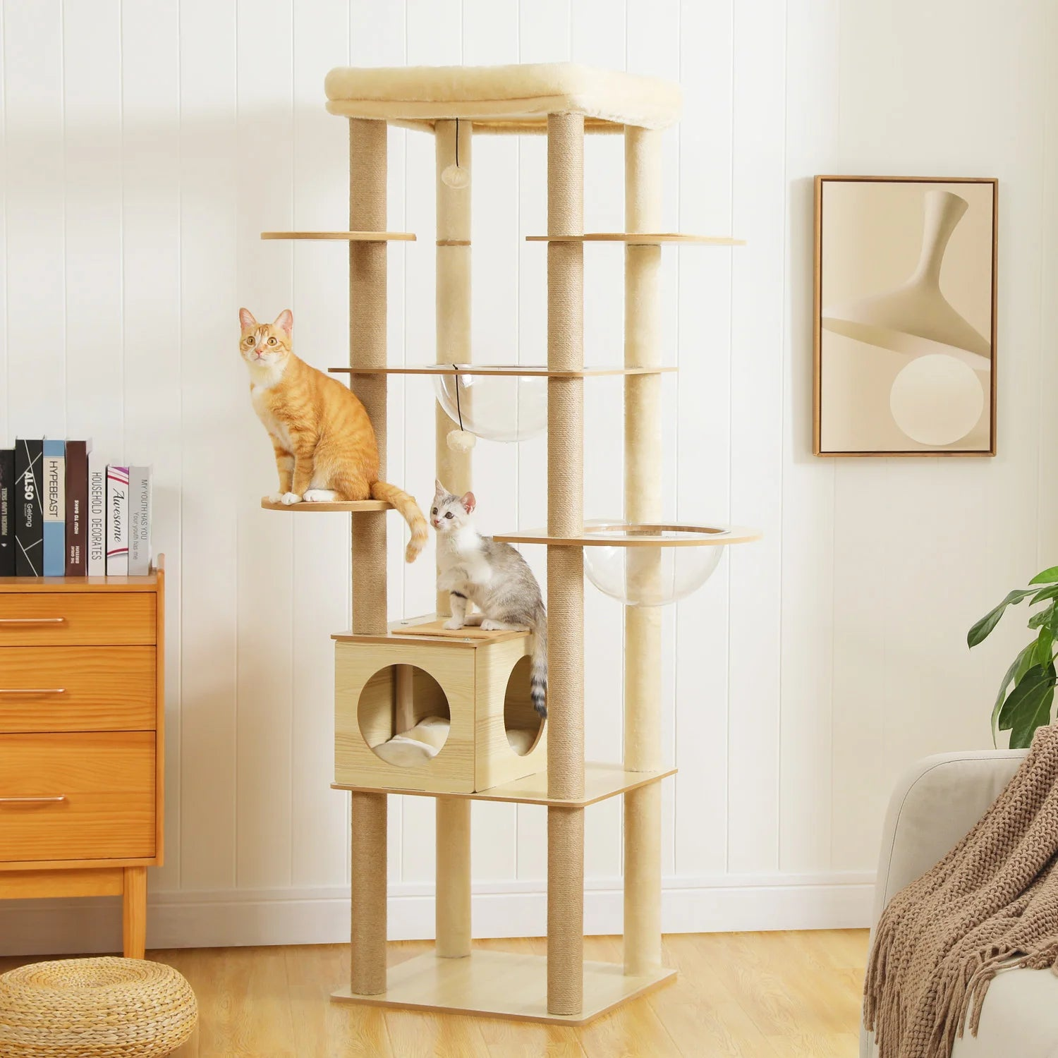 Pourquoi le griffoir est essentiel pour le bien-être de votre chat