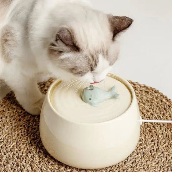 Fontaine à Eau Chat en Céramique 1,5 L avec Double Filtration - USB
