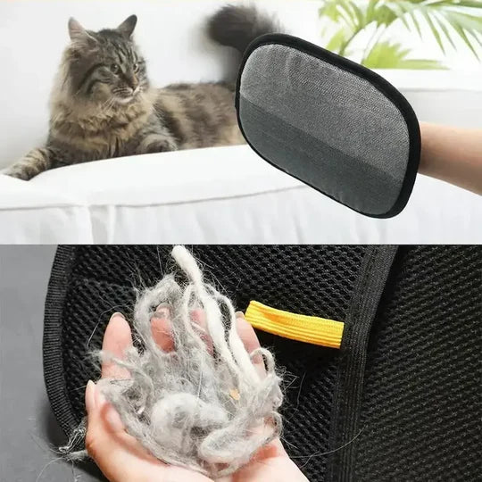 Gant de Toilettage pour Chat - Brosse Attrape-Poils et Démêlage