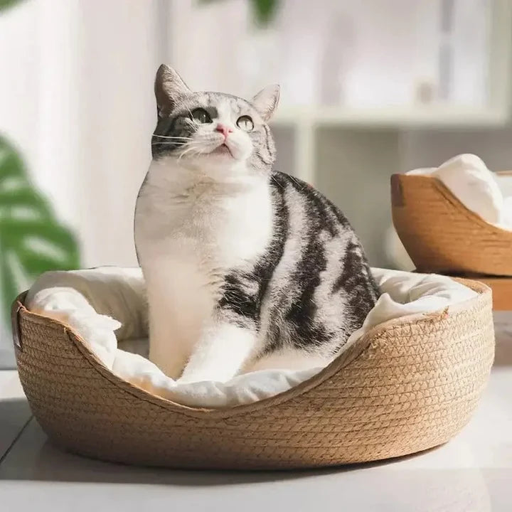Couffin Chat Bambou Tressé - Panier Couchage Naturel avec Coussin Déhoussable