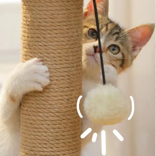 Griffoir Chat avec Jouet - Poteau Sisal Naturel et Bois Massif - Piste à Billes et Pompon