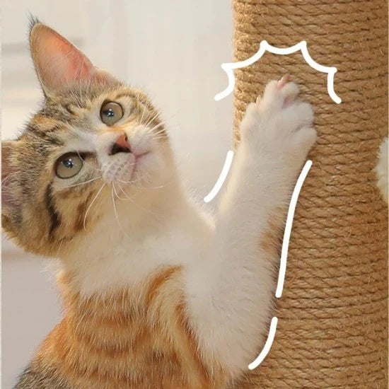 Griffoir Chat avec Jouet - Poteau Sisal Naturel et Bois Massif - Piste à Billes et Pompon