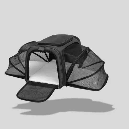 Sac de Transport Chat Grande Taille - Extensible avec Compartiment - jusqu'à 10kg