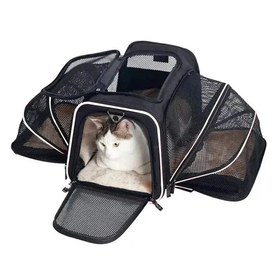 Sac de Transport Chat Grande Taille - Extensible avec Compartiment - jusqu'à 10kg